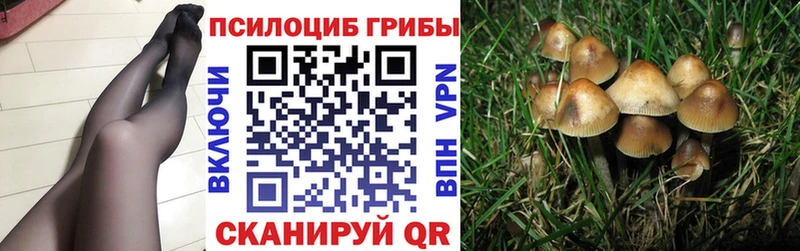hydra как войти  Асино  Галлюциногенные грибы MAGIC MUSHROOMS  купить наркотик 